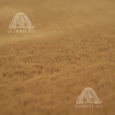 Коврик меховой шкура Голд фокс 12 0.50x0.88, фото , изображение 3
