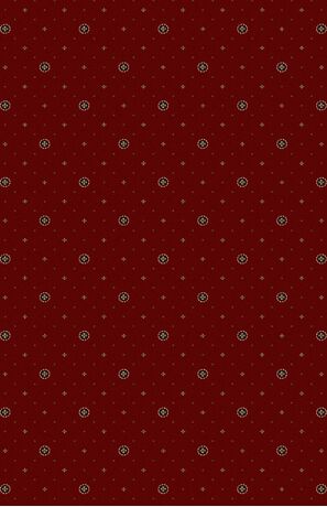 Дорожка E001 - RED коллекция ETALON 4.00x25.00, фото 