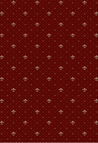 Дорожка E027 - RED коллекция ETALON 4.00x25.00, фото 