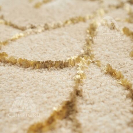 Ковер Dream дизайн 03543-B5386 CREAM-COFFEE, прямоугольник 2.00x4.00, фото , изображение 3