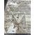Ковер SEMNAN 0.8х1.5 D067A_CREAM SHIRINK / VIZON FDY Полиэстер Турция, фото , изображение 5